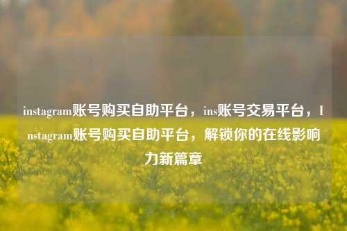 instagram账号购买自助平台，ins账号交易平台，Instagram账号购买自助平台，解锁你的在线影响力新篇章