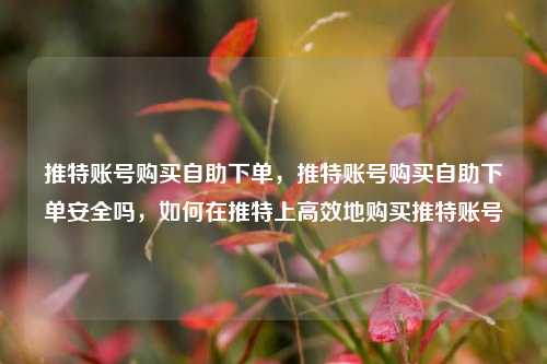 推特账号购买自助下单，推特账号购买自助下单安全吗，如何在推特上高效地购买推特账号