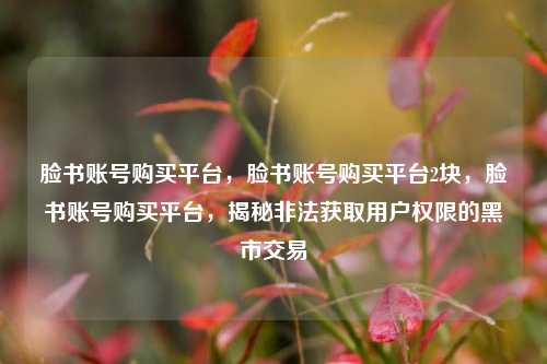 脸书账号购买平台，脸书账号购买平台2块，脸书账号购买平台，揭秘非法获取用户权限的黑市交易