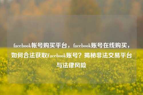 facebook帐号购买平台，facebook账号在线购买，如何合法获取Facebook账号？揭秘非法交易平台与法律风险