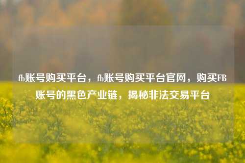 fb账号购买平台，fb账号购买平台官网，购买FB账号的黑色产业链，揭秘非法交易平台