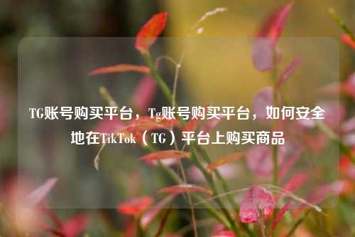 TG账号购买平台，Tg账号购买平台，如何安全地在TikTok（TG）平台上购买商品