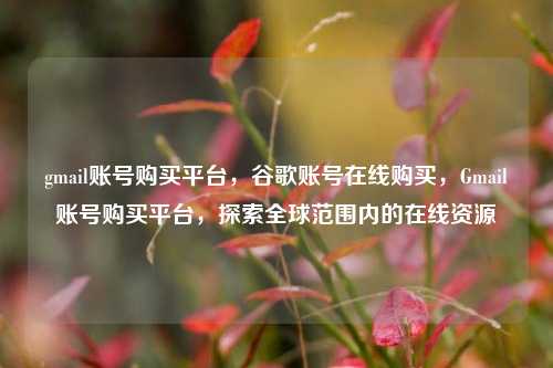 gmail账号购买平台，谷歌账号在线购买，Gmail账号购买平台，探索全球范围内的在线资源