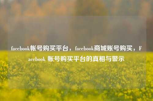 facebook帐号购买平台，facebook商城账号购买，Facebook 帐号购买平台的真相与警示