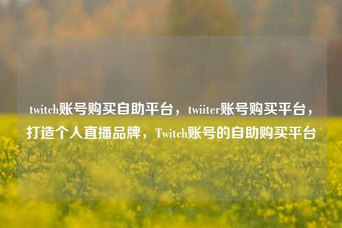 twitch账号购买自助平台，twiiter账号购买平台，打造个人直播品牌，Twitch账号的自助购买平台