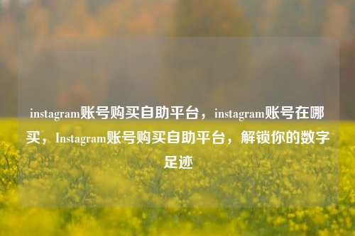 instagram账号购买自助平台，instagram账号在哪买，Instagram账号购买自助平台，解锁你的数字足迹