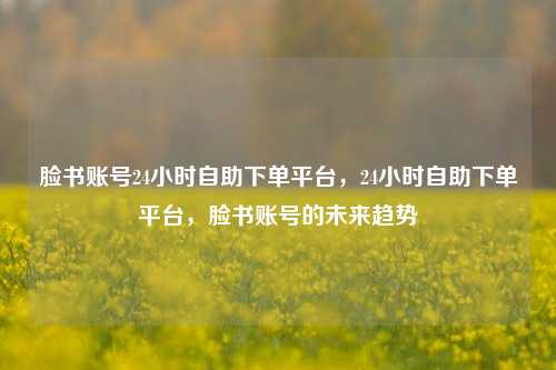 脸书账号24小时自助下单平台，24小时自助下单平台，脸书账号的未来趋势
