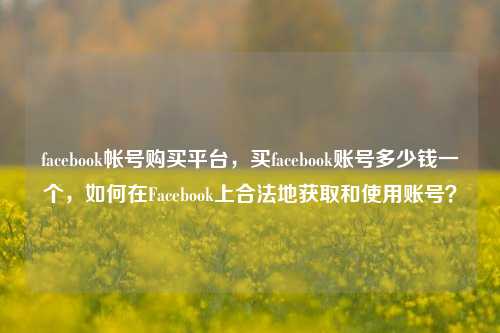facebook帐号购买平台，买facebook账号多少钱一个，如何在Facebook上合法地获取和使用账号？