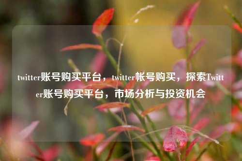 twitter账号购买平台，twitter帐号购买，探索Twitter账号购买平台，市场分析与投资机会