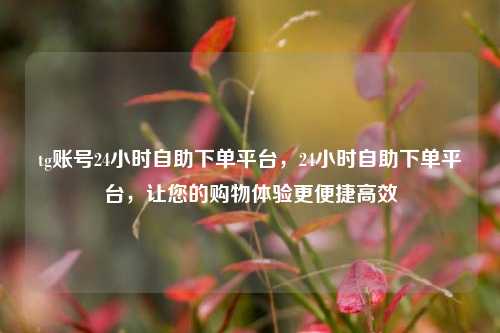 tg账号24小时自助下单平台，24小时自助下单平台，让您的购物体验更便捷高效