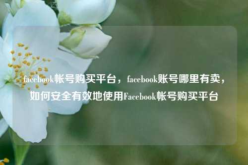 facebook帐号购买平台，facebook账号哪里有卖，如何安全有效地使用Facebook帐号购买平台
