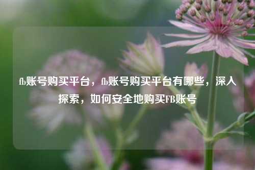 fb账号购买平台，fb账号购买平台有哪些，深入探索，如何安全地购买FB账号