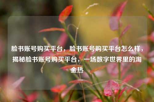 脸书账号购买平台，脸书账号购买平台怎么样，揭秘脸书账号购买平台，一场数字世界里的淘金热