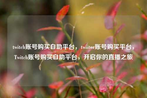 twitch账号购买自助平台，twiiter账号购买平台，Twitch账号购买自助平台，开启你的直播之旅