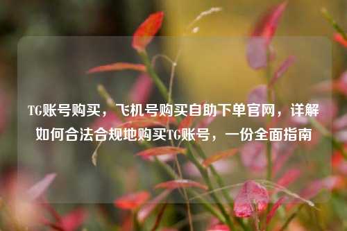 TG账号购买，飞机号购买自助下单官网，详解如何合法合规地购买TG账号，一份全面指南