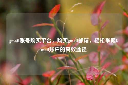 gmail账号购买平台，购买gmail邮箱，轻松掌握Gmail账户的高效途径