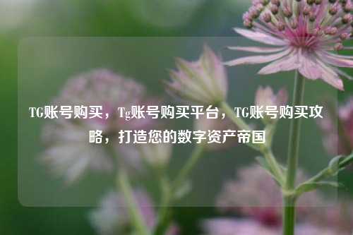 TG账号购买，Tg账号购买平台，TG账号购买攻略，打造您的数字资产帝国