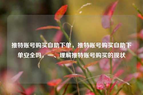 推特账号购买自助下单，推特账号购买自助下单安全吗，一、理解推特账号购买的现状