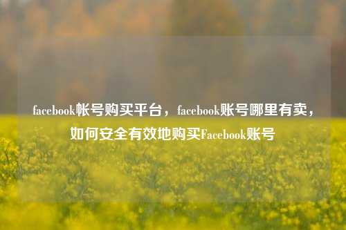 facebook帐号购买平台，facebook账号哪里有卖，如何安全有效地购买Facebook账号
