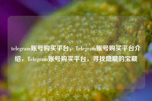 telegram账号购买平台，Telegram账号购买平台介绍，Telegram账号购买平台，寻找隐藏的宝藏