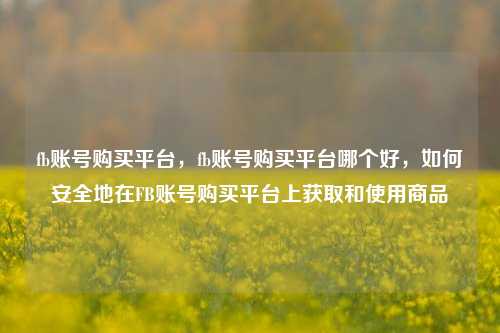 fb账号购买平台，fb账号购买平台哪个好，如何安全地在FB账号购买平台上获取和使用商品