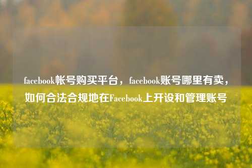 facebook帐号购买平台，facebook账号哪里有卖，如何合法合规地在Facebook上开设和管理账号