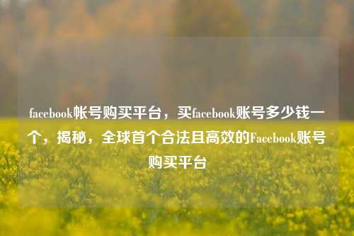 facebook帐号购买平台，买facebook账号多少钱一个，揭秘，全球首个合法且高效的Facebook账号购买平台