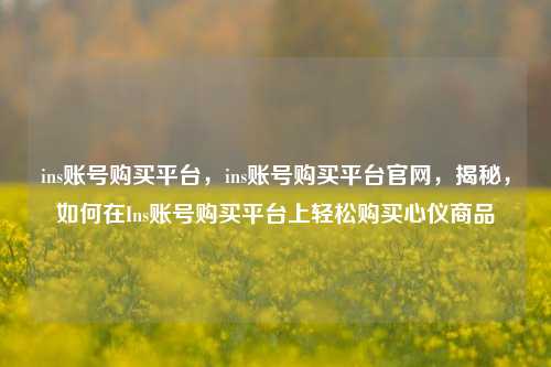 ins账号购买平台，ins账号购买平台官网，揭秘，如何在Ins账号购买平台上轻松购买心仪商品