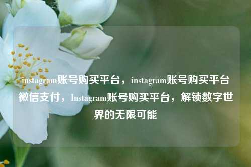 instagram账号购买平台，instagram账号购买平台微信支付，Instagram账号购买平台，解锁数字世界的无限可能