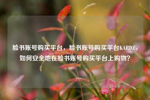 脸书账号购买平台，脸书账号购买平台KARDZ，如何安全地在脸书账号购买平台上购物？