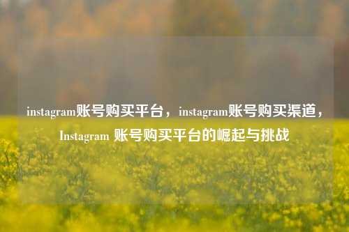 instagram账号购买平台，instagram账号购买渠道，Instagram 账号购买平台的崛起与挑战