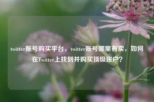 twitter账号购买平台，twitter账号哪里有卖，如何在Twitter上找到并购买顶级账户？