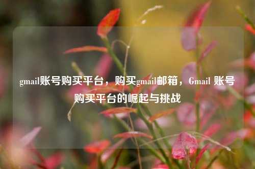 gmail账号购买平台，购买gmail邮箱，Gmail 账号购买平台的崛起与挑战
