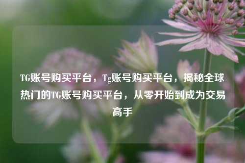 TG账号购买平台，Tg账号购买平台，揭秘全球热门的TG账号购买平台，从零开始到成为交易高手