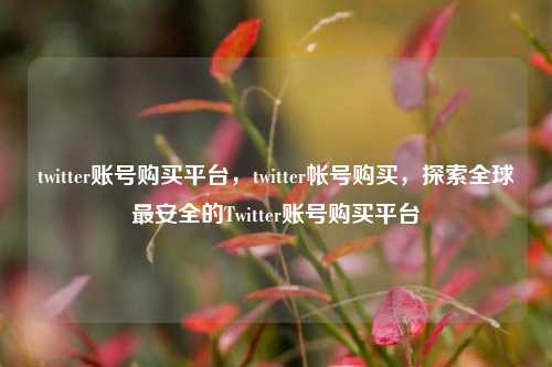 twitter账号购买平台，twitter帐号购买，探索全球最安全的Twitter账号购买平台