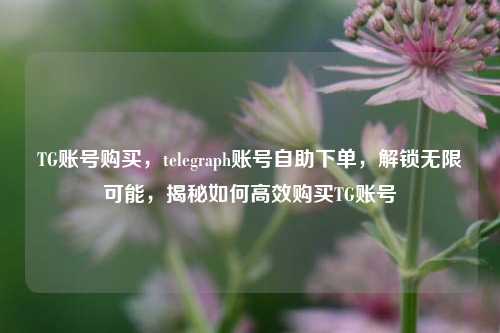 TG账号购买，telegraph账号自助下单，解锁无限可能，揭秘如何高效购买TG账号