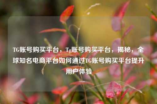 TG账号购买平台，Tg账号购买平台，揭秘，全球知名电商平台如何通过TG账号购买平台提升用户体验