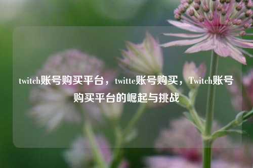 twitch账号购买平台，twitte账号购买，Twitch账号购买平台的崛起与挑战