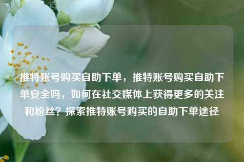 推特账号购买自助下单，推特账号购买自助下单安全吗，如何在社交媒体上获得更多的关注和粉丝？探索推特账号购买的自助下单途径