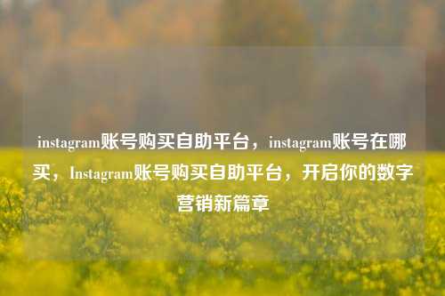 instagram账号购买自助平台，instagram账号在哪买，Instagram账号购买自助平台，开启你的数字营销新篇章