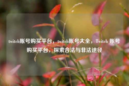 twitch账号购买平台，twitch账号大全，Twitch 账号购买平台，探索合法与非法途径