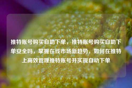 推特账号购买自助下单，推特账号购买自助下单安全吗，掌握在线市场新趋势，如何在推特上高效管理推特账号并实现自动下单