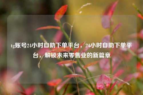 tg账号24小时自助下单平台，24小时自助下单平台，解锁未来零售业的新篇章