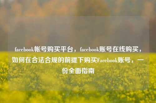 facebook帐号购买平台，facebook账号在线购买，如何在合法合规的前提下购买Facebook账号，一份全面指南