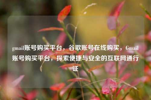 gmail账号购买平台，谷歌账号在线购买，Gmail账号购买平台，探索便捷与安全的互联网通行证