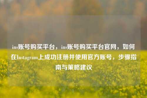 ins账号购买平台，ins账号购买平台官网，如何在Instagram上成功注册并使用官方账号，步骤指南与策略建议