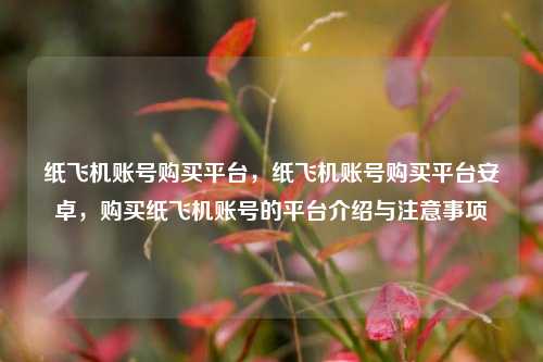 纸飞机账号购买平台，纸飞机账号购买平台安卓，购买纸飞机账号的平台介绍与注意事项