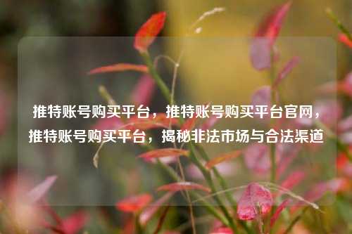 推特账号购买平台，推特账号购买平台官网，推特账号购买平台，揭秘非法市场与合法渠道