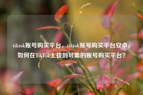 tiktok账号购买平台，tiktok账号购买平台安卓，如何在TikTok上找到可靠的账号购买平台？