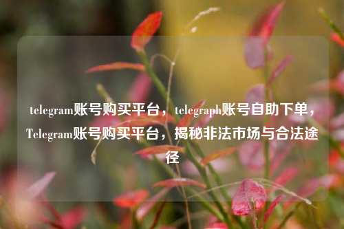 telegram账号购买平台，telegraph账号自助下单，Telegram账号购买平台，揭秘非法市场与合法途径